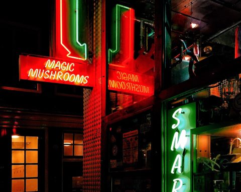 green and red Magic Mushrooms neon light signage