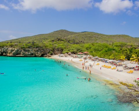 people near beach during daytime