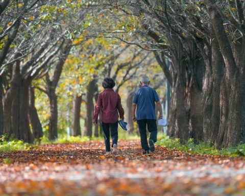 Senioren wandelen door een kleurrijk herfstbos in Nederland