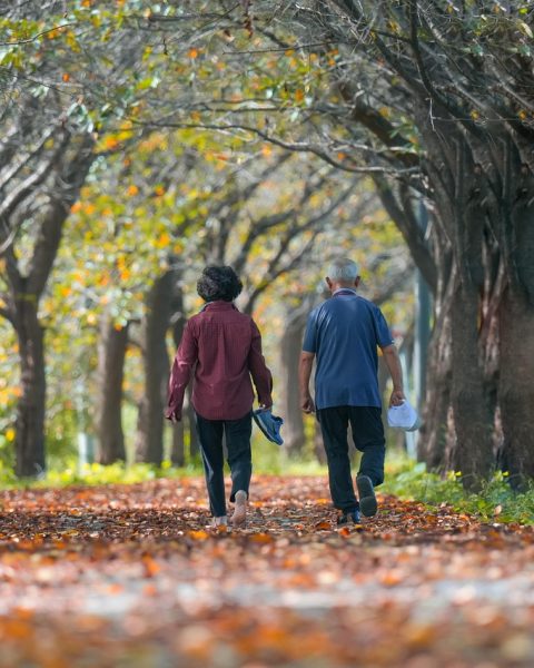 Senioren wandelen door een kleurrijk herfstbos in Nederland