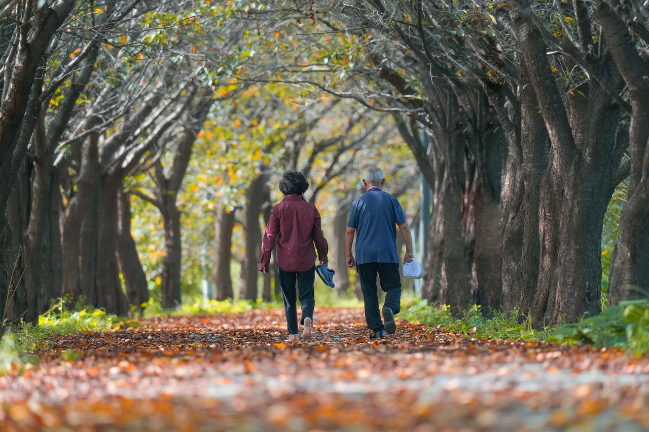 Senioren wandelen door een kleurrijk herfstbos in Nederland