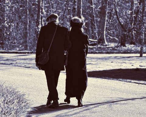 Senioren lopen met nordic walkingstokken in een groen park