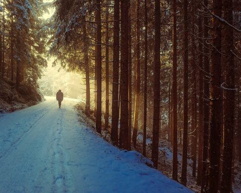 Oudere vrouw in winterkleding geniet van een moment in het zonlicht buiten