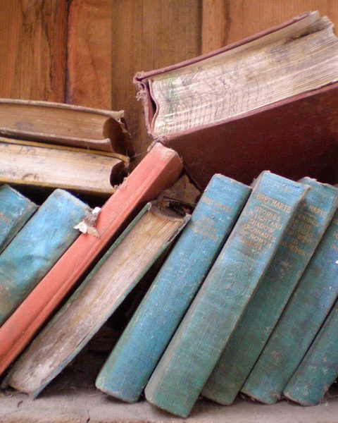 Rij oude boeken op een houten boekenplank